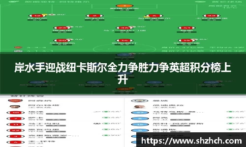 岸水手迎战纽卡斯尔全力争胜力争英超积分榜上升