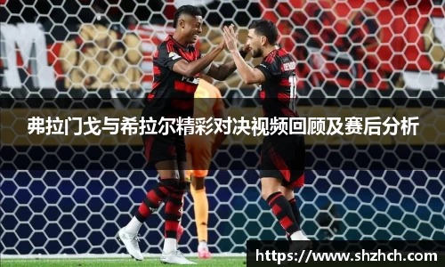 弗拉门戈与希拉尔精彩对决视频回顾及赛后分析